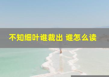 不知细叶谁裁出 谁怎么读